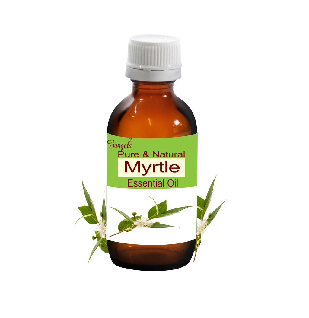 Myrtle Essential Oil, Pure Natural Myrtus Communis Aromatherapy by Bangota