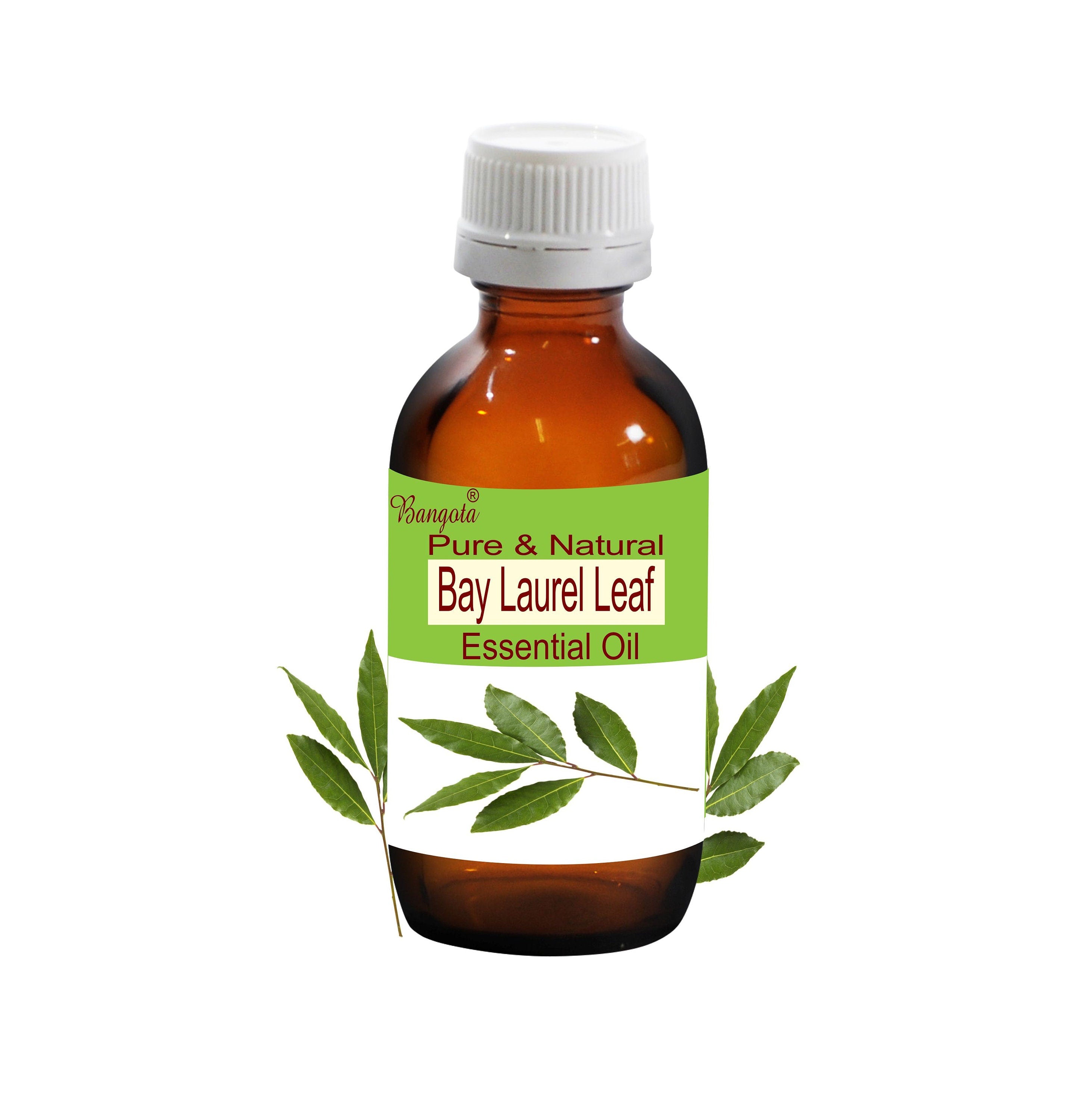 Bay Laurel Leaf Essential Oil Pure Natural Laurus Nobilis Hair Care Aromatherapy