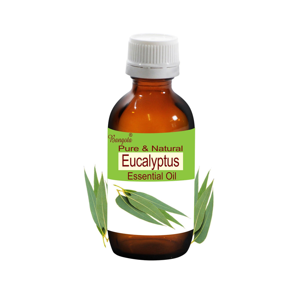 Eucalyptus Essential Oil: Pure and Natural, Aromatherapy and Skincare by Bangota