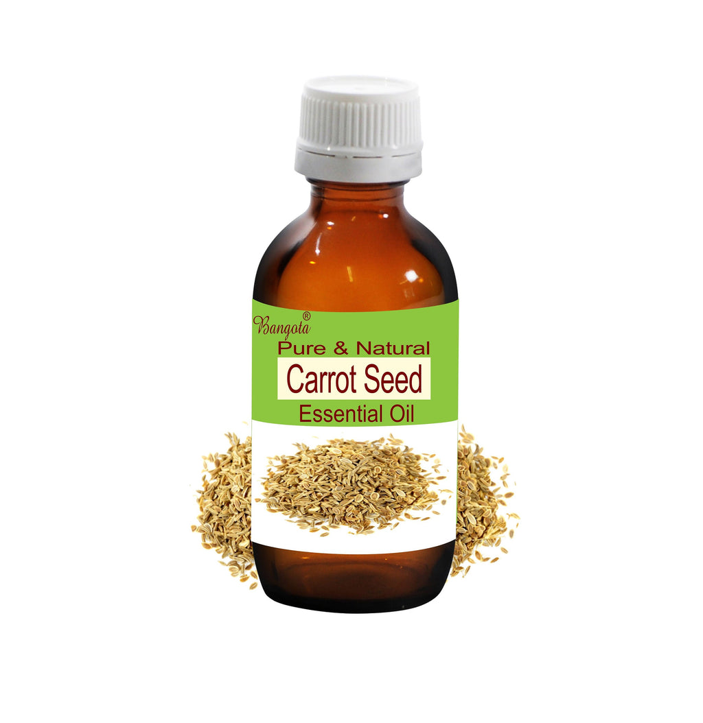 Carrot Seed Essential Oil Pure Natural Steam Distilled Aromatherapy Skincare Massage Wellness