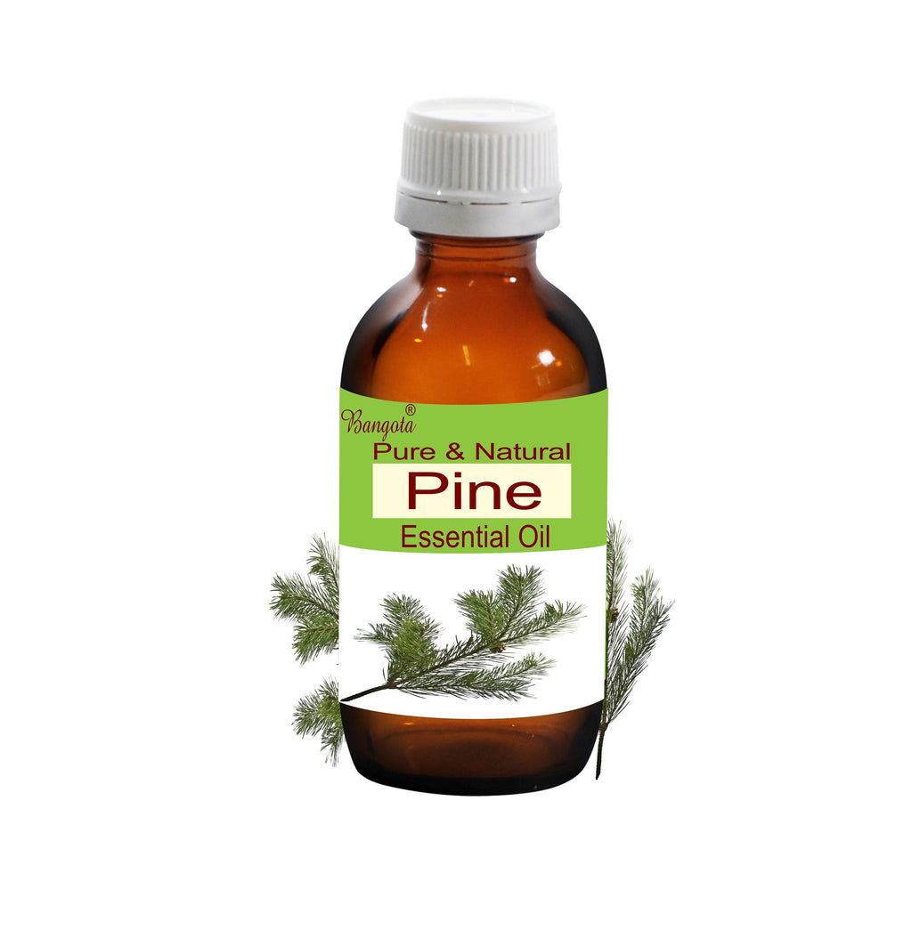 Pine Essential Oil Pure Natural Pinus Sylvestris Fresh Forest Aromatherapy by Bangota