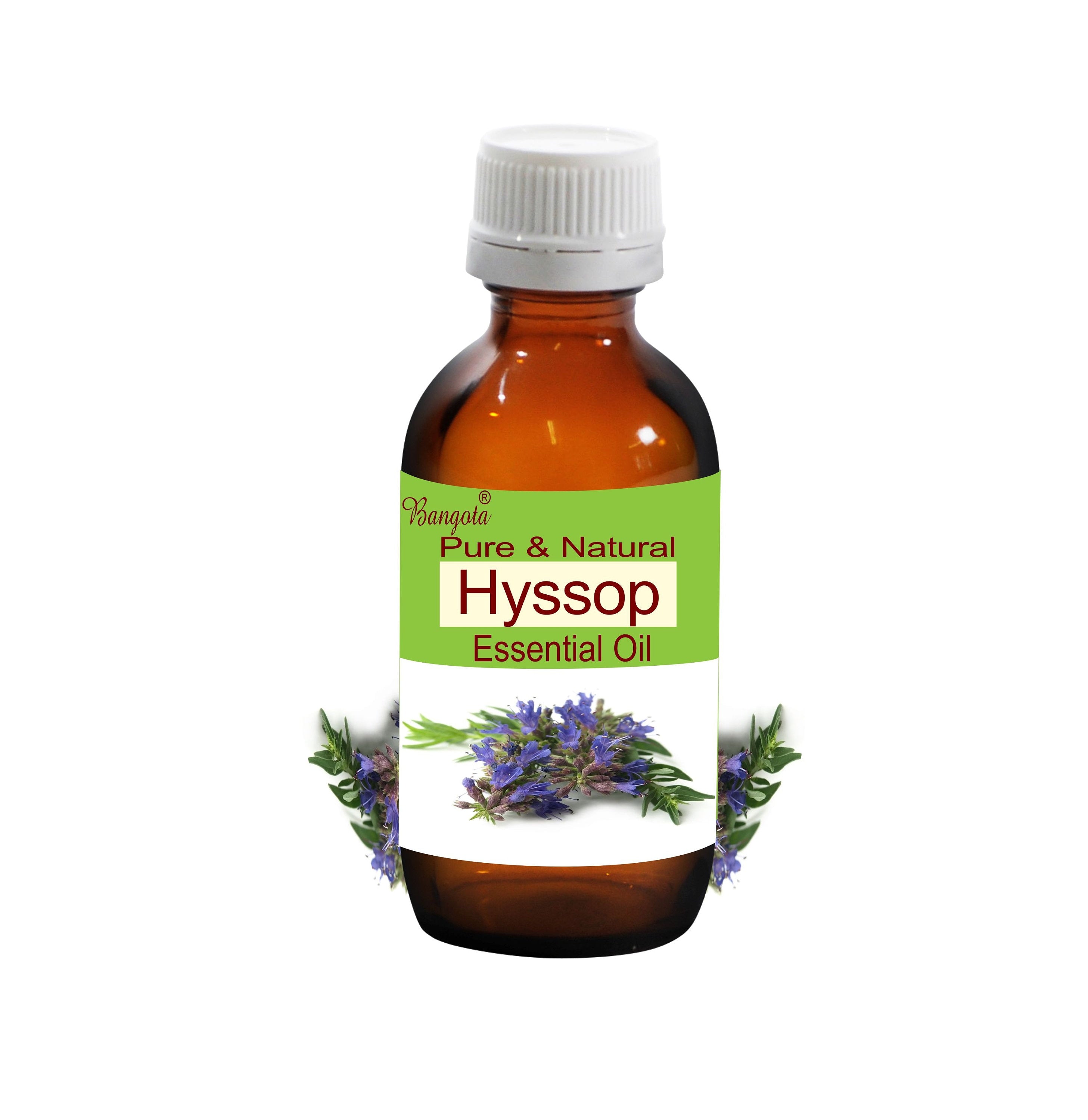 Hyssop Essential Oil Pure Natural Aromatherapy Skin Care Relaxation Herbal Wellness Use Bangota