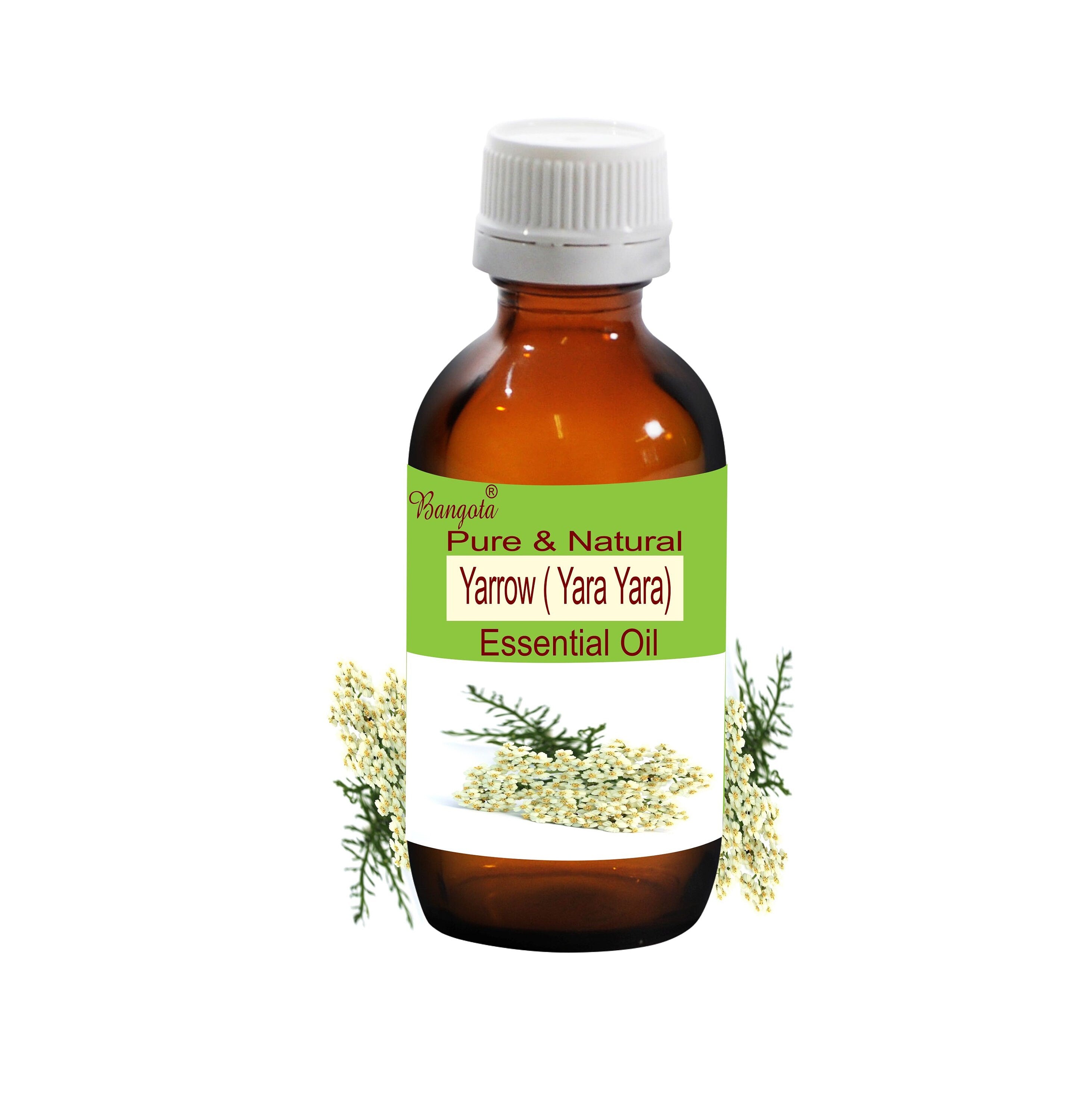 Yarrow Essential Oil Pure Natural Aromatherapy Skin Care Massage Relaxation Wellness