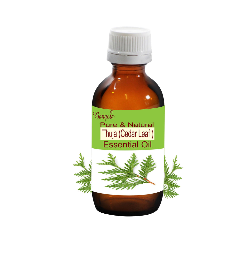 Thuja Essential Oil Cedar Leaf Pure Natural Aromatherapy Massage Perfume Diffuser Herbal Oil