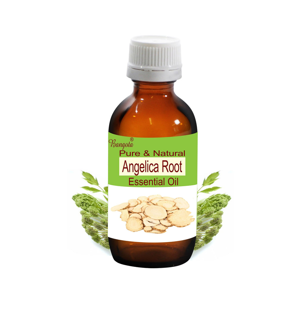 Angelica Root Essential Oil Pure Natural Aromatherapy Massage Perfumery Relaxation Wellness