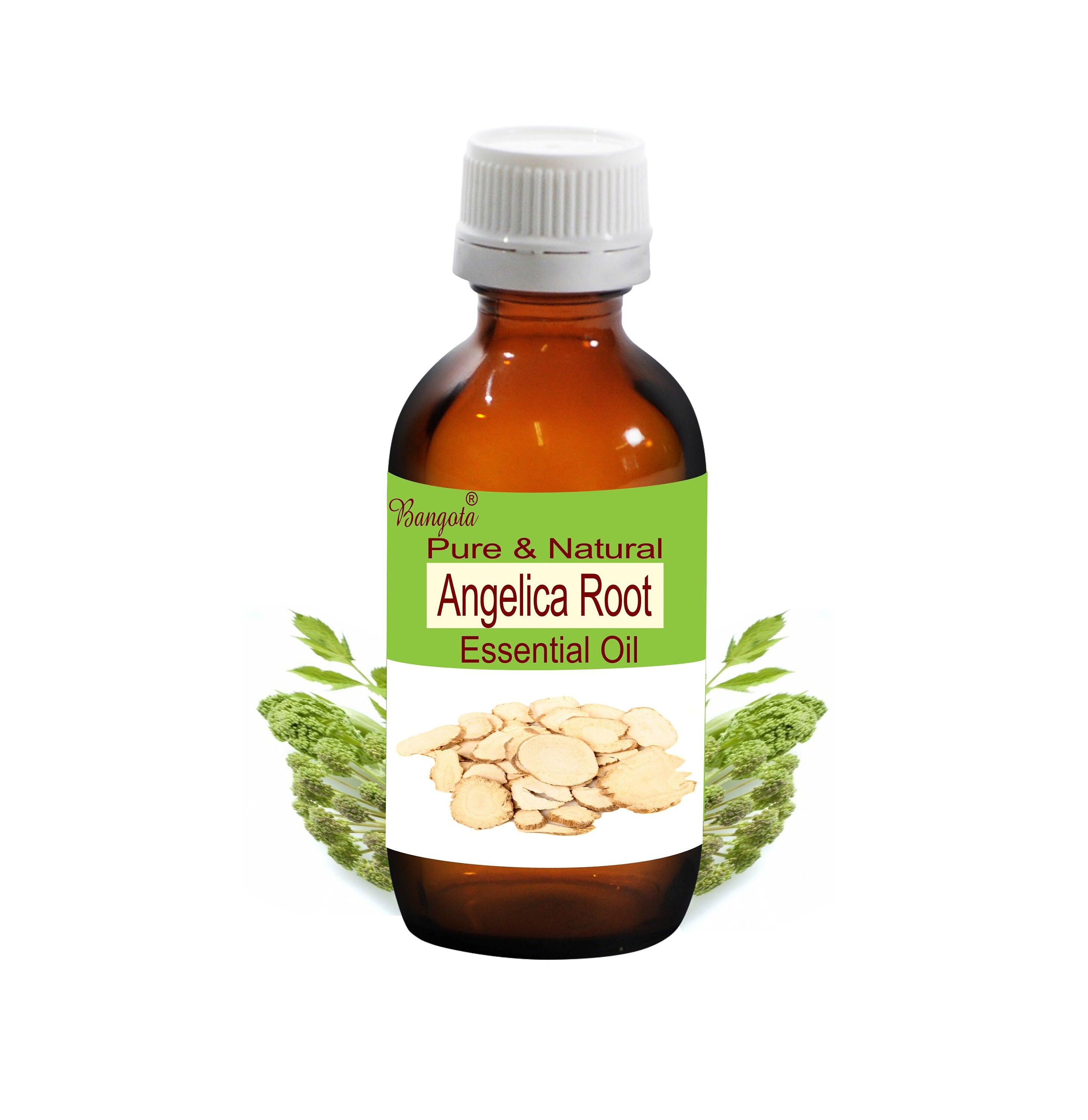 Angelica Root Essential Oil Pure Natural Aromatherapy Massage Perfumery Relaxation Wellness