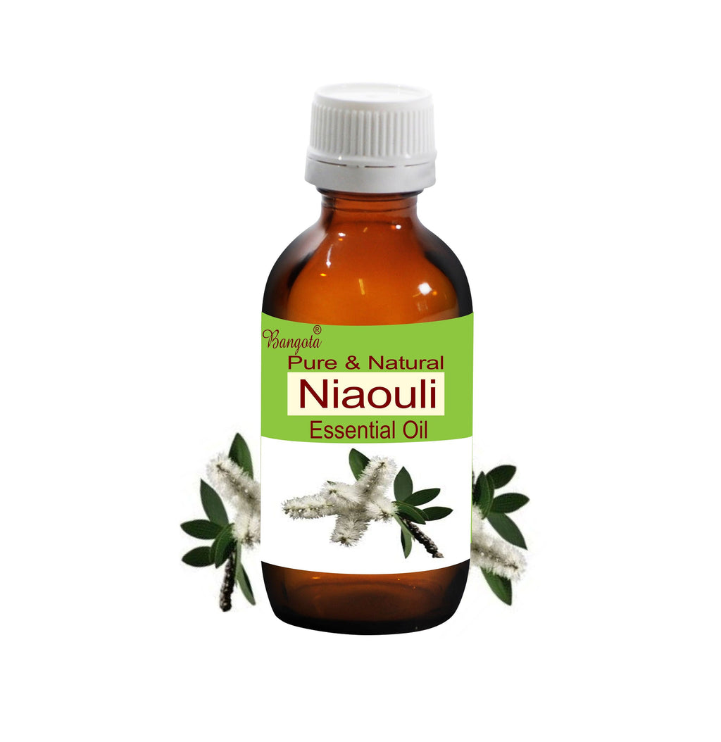 Niaouli Essential Oil Pure Natural Melaleuca Viridiflora Aromatherapy Skin Care Diffuser by Bangota