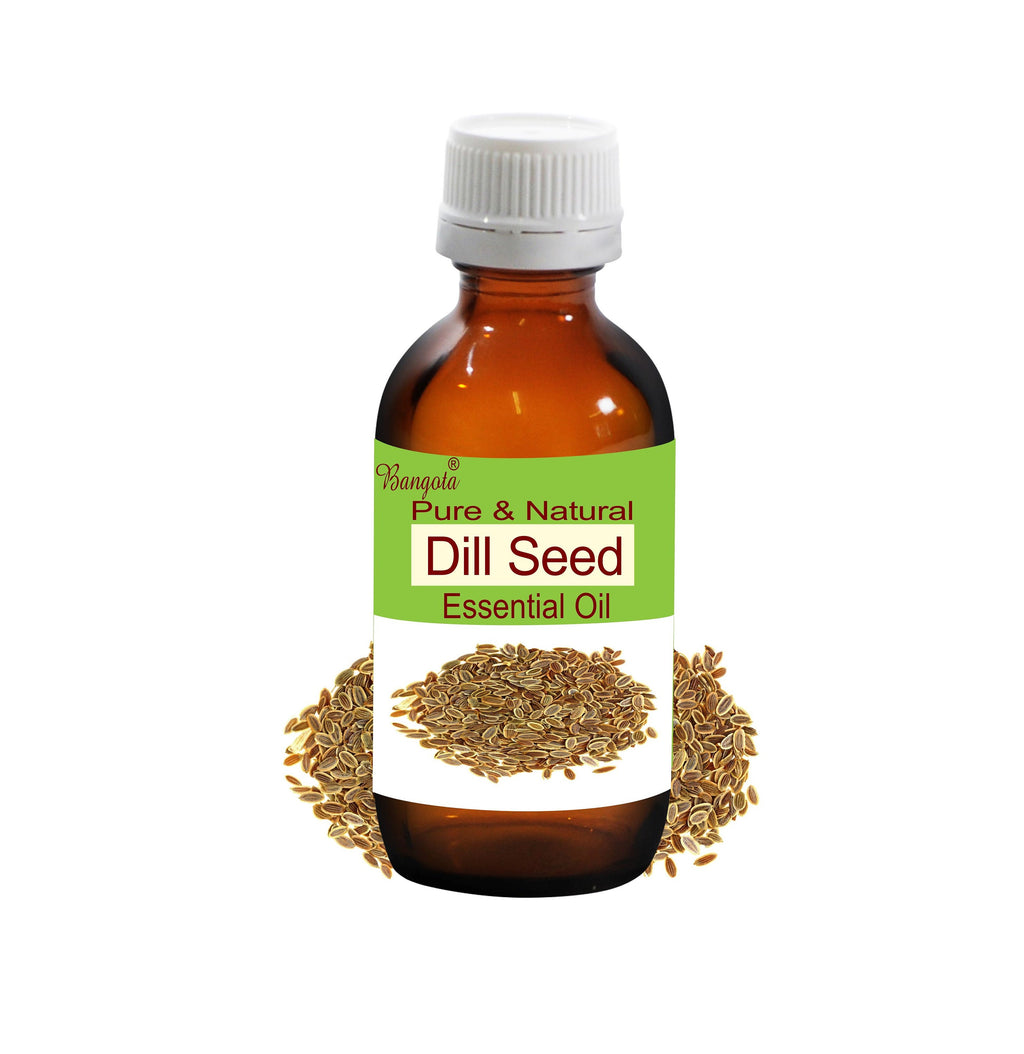 Dill Seed Essential Oil Pure Natural Anethum Graveolens Aromatherapy by Bangota