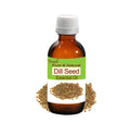 Dill Seed Essential Oil Pure Natural Anethum Graveolens Aromatherapy by Bangota