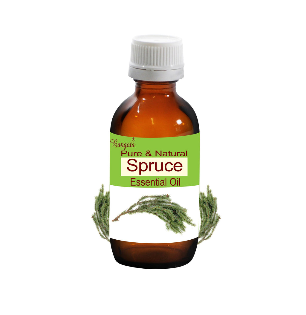 Spruce Essential Oil | Pure & Natural Picea mariana | Woody Forest Aromatherapy Oil | Bangota