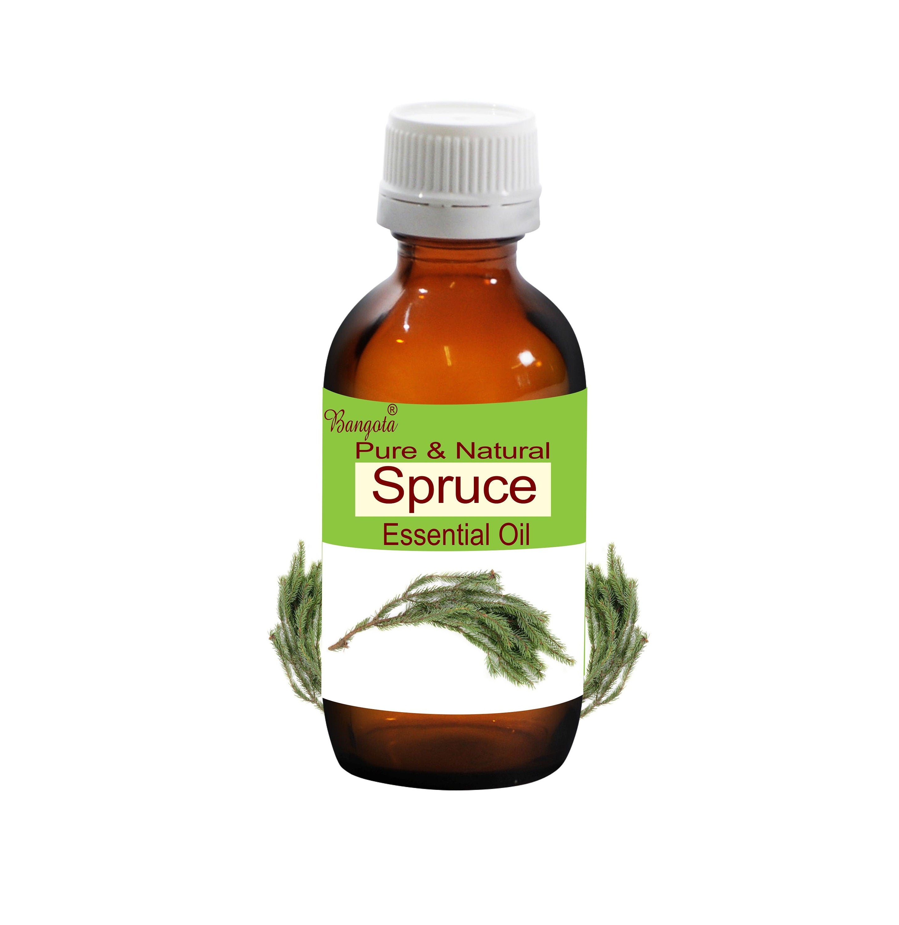 Spruce Essential Oil | Pure & Natural Picea mariana | Woody Forest Aromatherapy Oil | Bangota