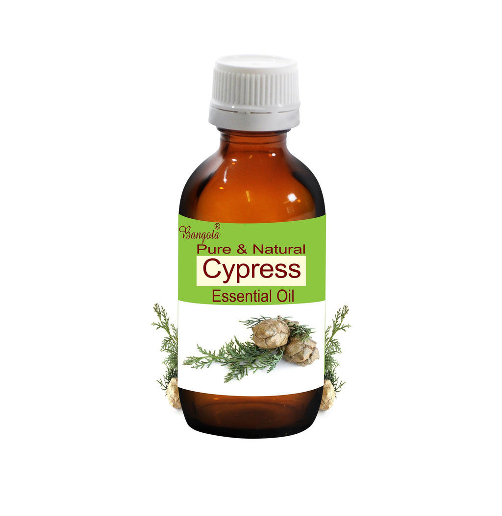 Cypress Essential Oil Cupressus Sempervirens Pure Natural Aromatherapy by Bangota
