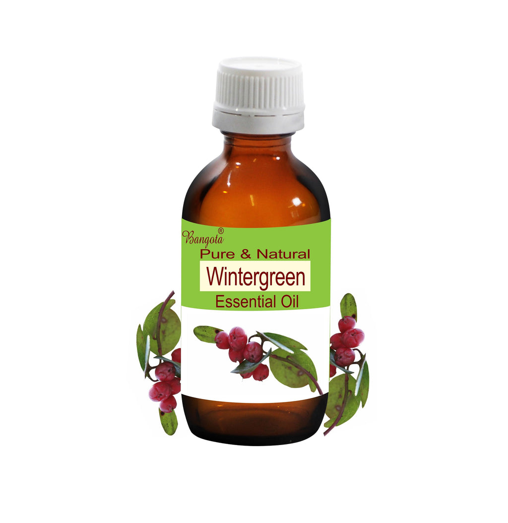 Wintergreen Essential Oil Pure Natural Gaultheria Procumbens Aromatherapy Massage Diffuser Wellness Care