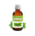 Oregano Essential Oil Origanum Vulgare Pure Natural Aromatherapy Massage by Bangota