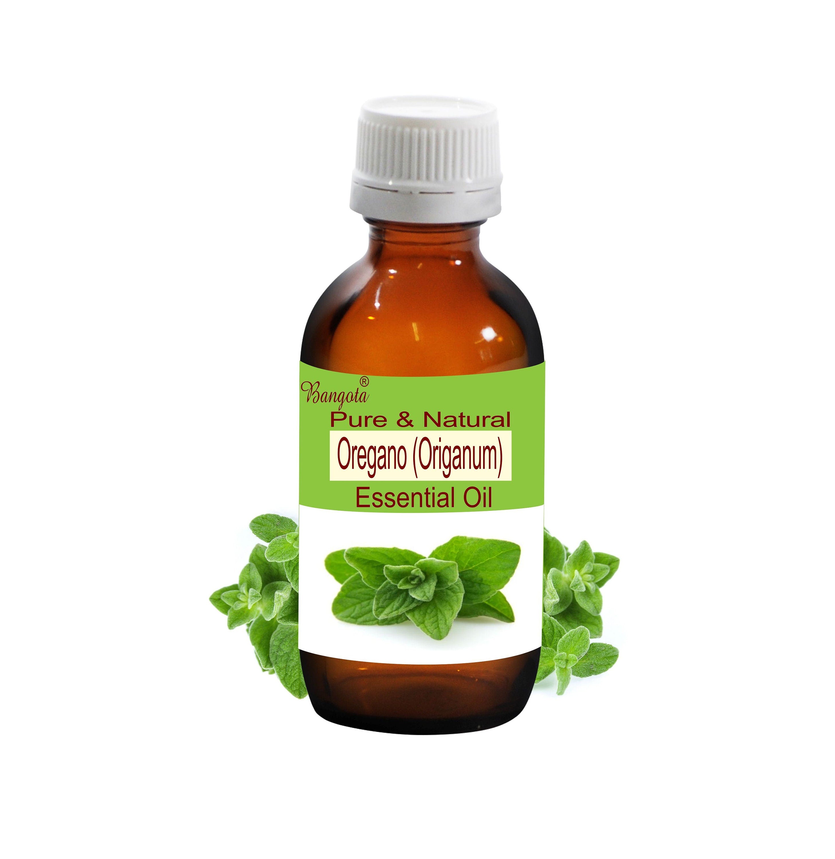 Oregano Essential Oil Origanum Vulgare Pure Natural Aromatherapy Massage by Bangota