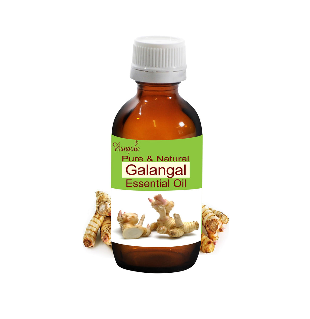 Galangal Essential Oil Pure Natural Alpinia Galanga Aromatherapy Massage Wellness