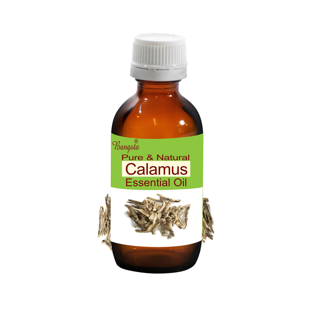 Calamus Essential Oil Pure Natural Acorus Calamus Aromatherapy Wellness Skin Care