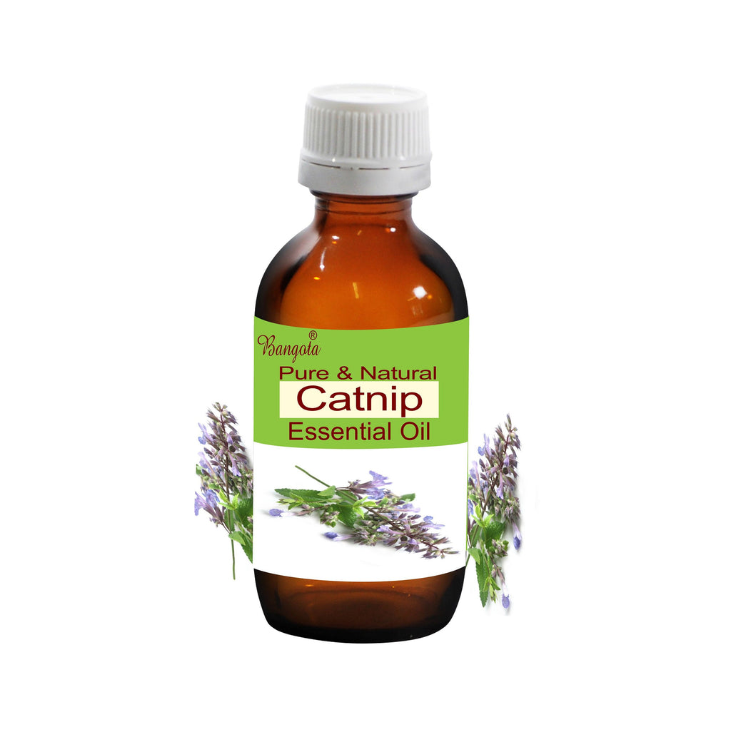 Catnip Essential Oil Pure Natural Aromatherapy Diffuser Massage Skincare DIY Herbal Fragrance Oil