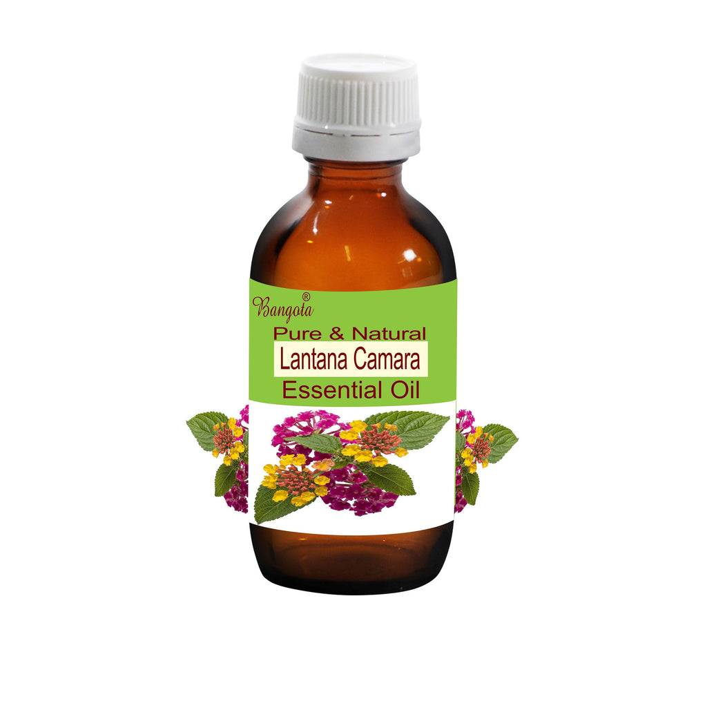Lantana Camara Essential Oil Natural Skin Care Acne Relief Calming Aromatherapy Herbal Oil Pure
