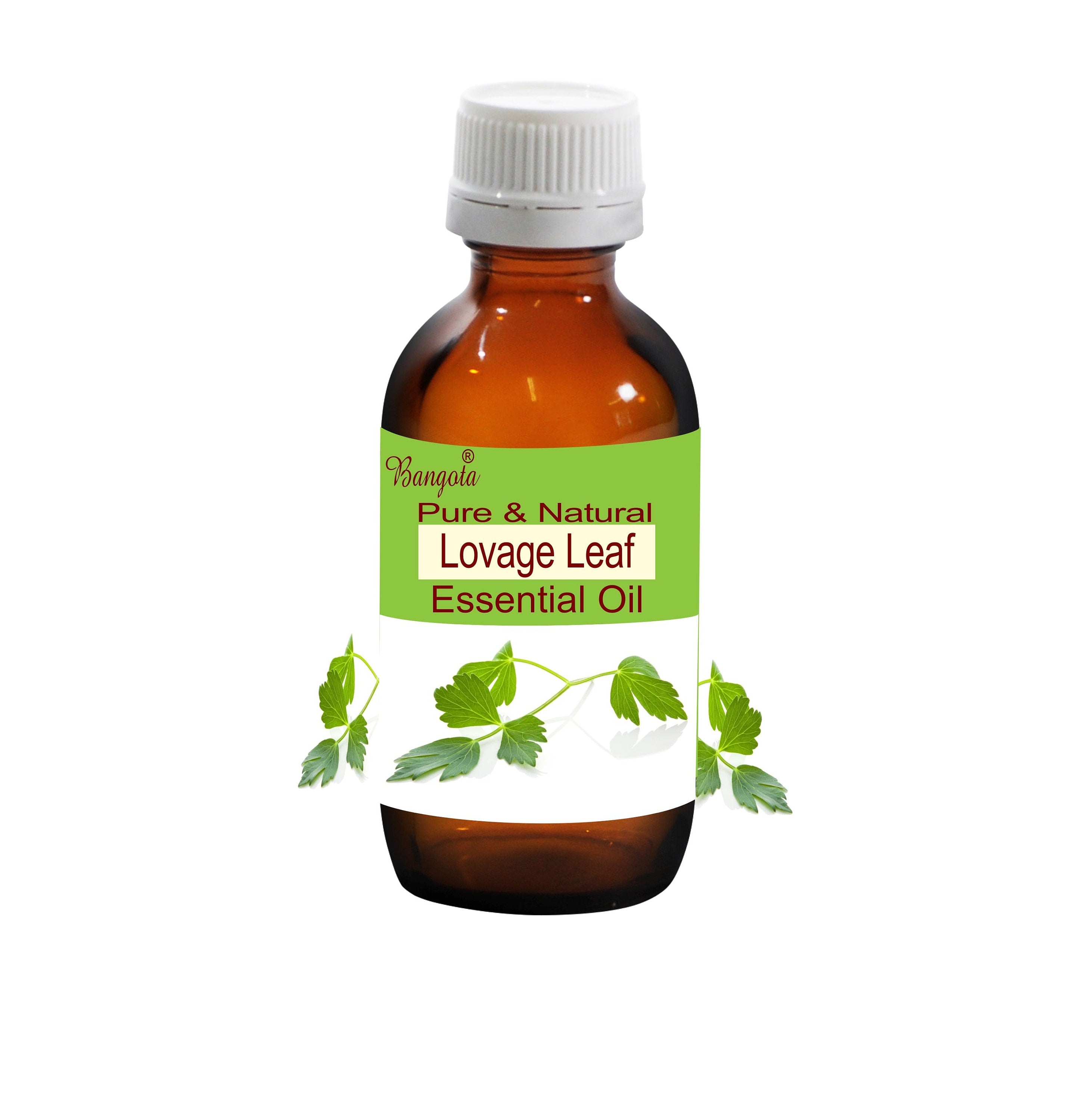 Lovage Leaf Essential Oil Pure Natural Herbal Aromatherapy by Bangota