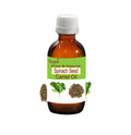 Spinach Seed Carrier Oil Pure Natural Skin Hair Care by Bangota