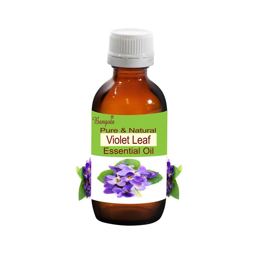Violet Leaf Essential Oil Natural Floral Calming Aromatherapy Skin Care Hydrating Hair Care Pure