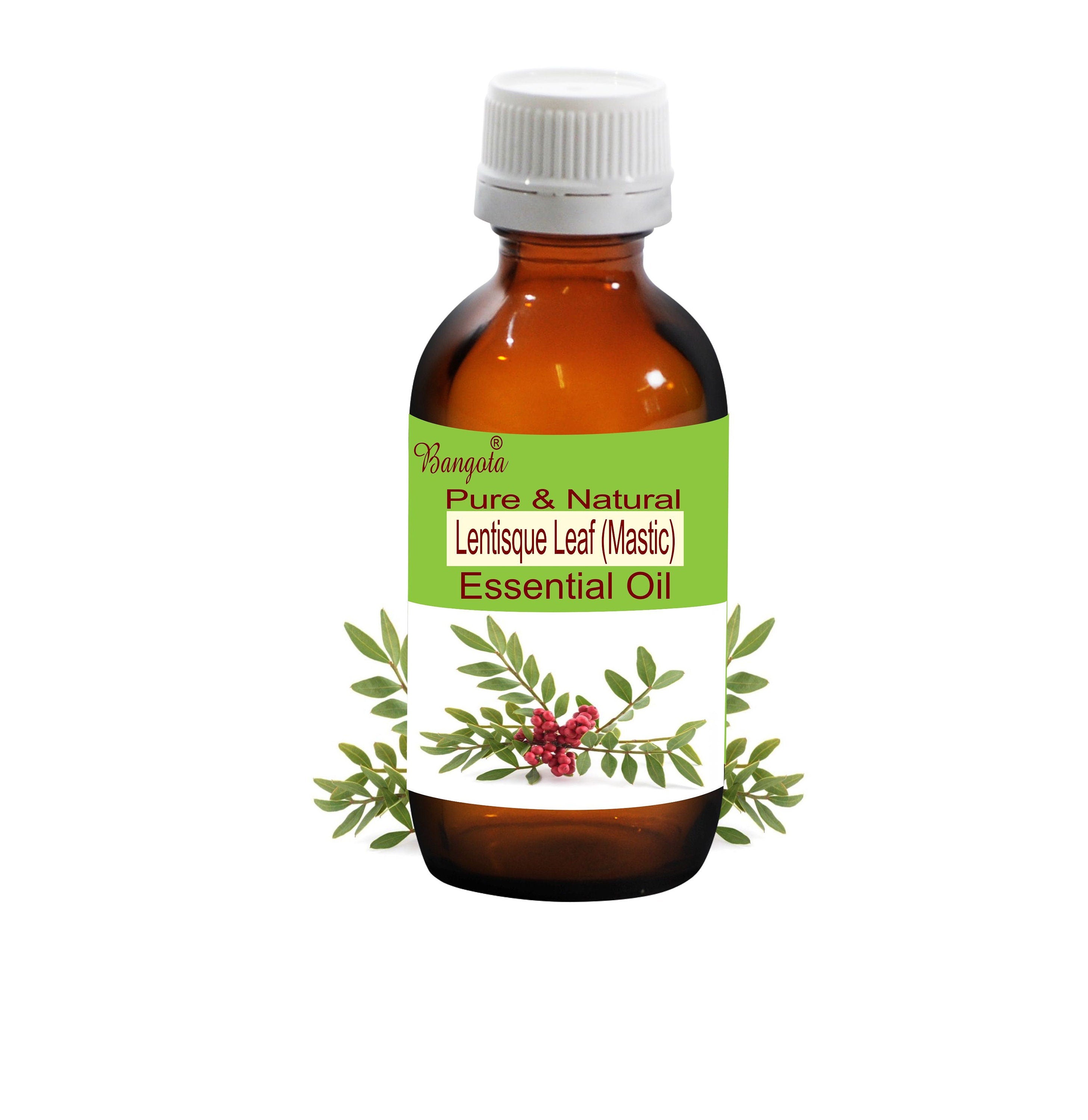 Lentisque Leaf Essential Oil Mastic Oil Natural Aromatherapy Skin Care Stress Relief Pure