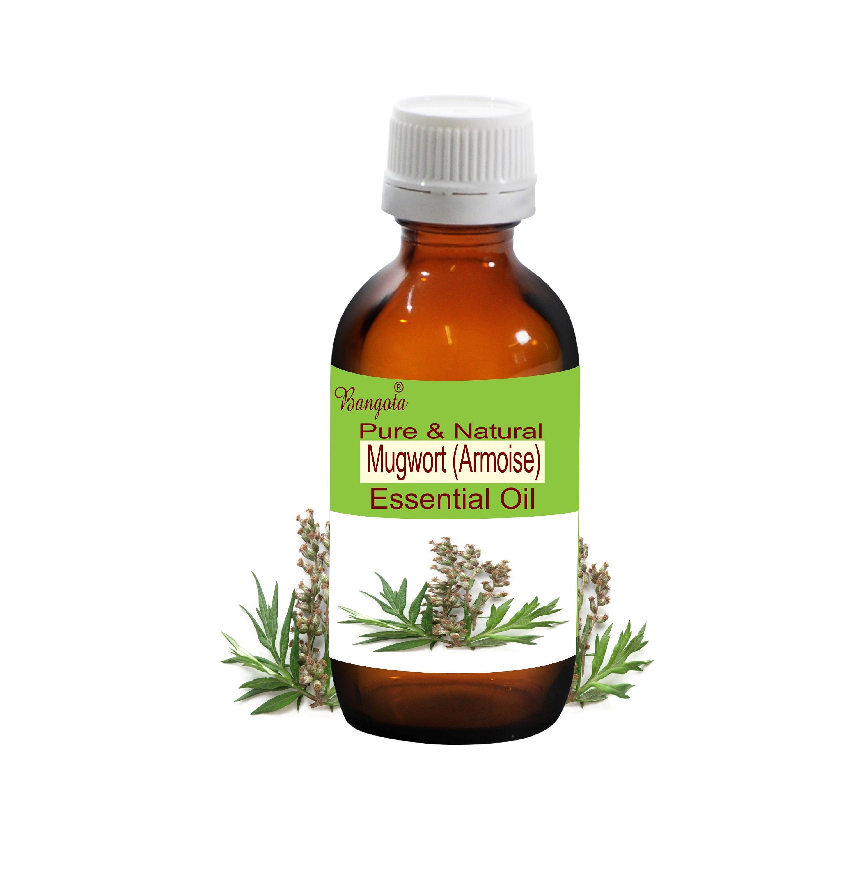 Mugwort (Armoise) Essential Oil Pure Natural Herbal Aromatherapy by Bangota