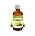 Rapeseed Carrier Oil Brassica Campestris Pure Natural Nourishing Skin Hair Care by Bangota