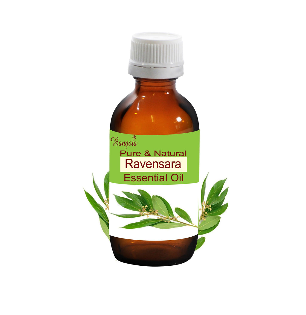 Ravensara Essential Oil Pure Natural Aromatherapy Massage Skincare Diffuser Herbal Wellness