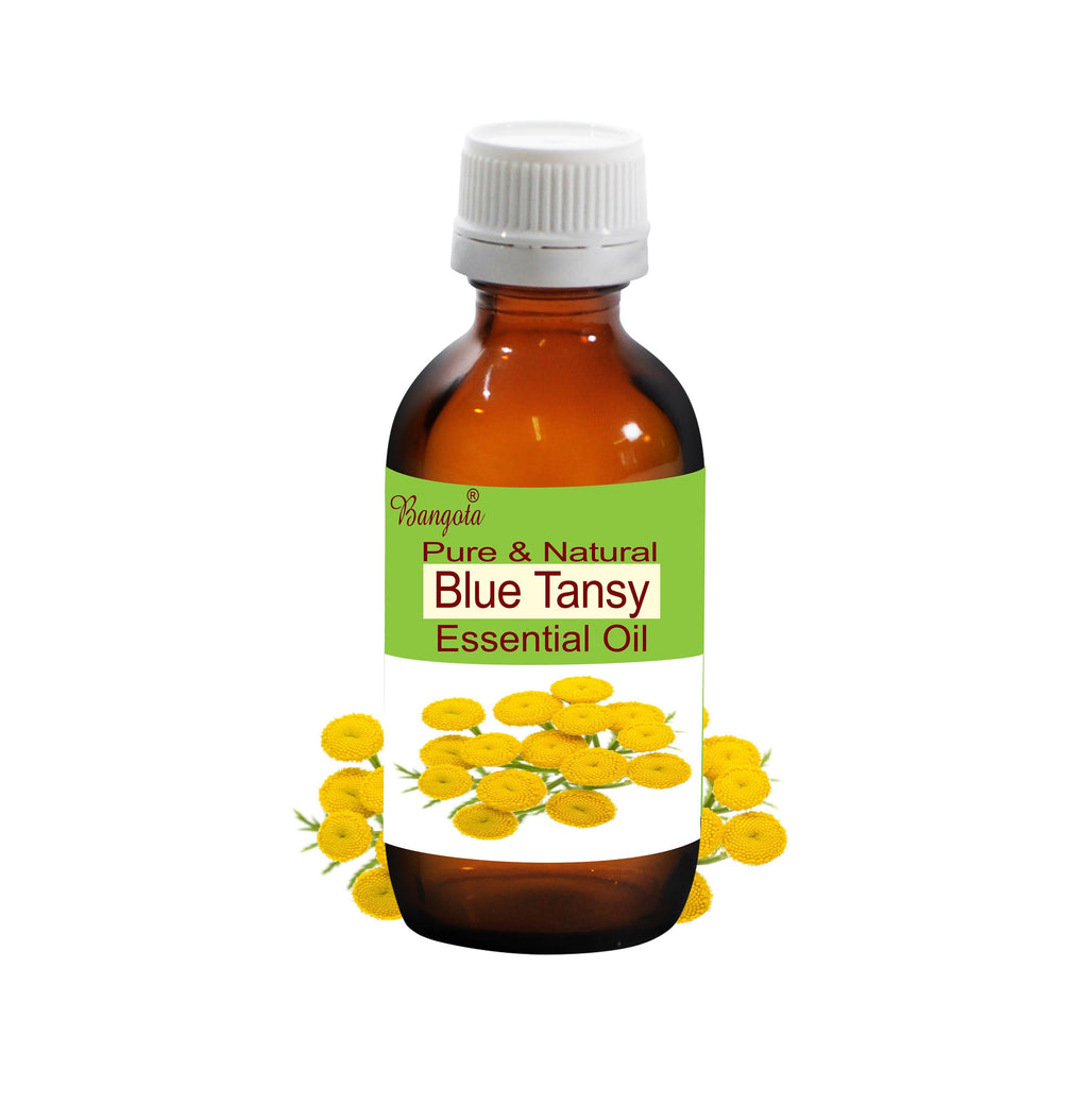 Blue Tansy Essential Oil Pure Natural Tanacetum Annuum Calming Aromatherapy Diffuser