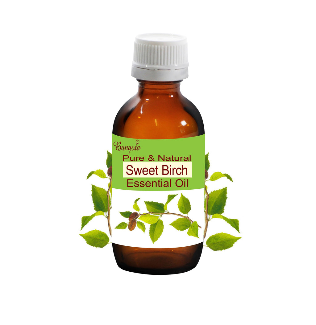 Sweet Birch Essential Oil Pure Natural Betula Lenta Aromatherapy Massage Spa