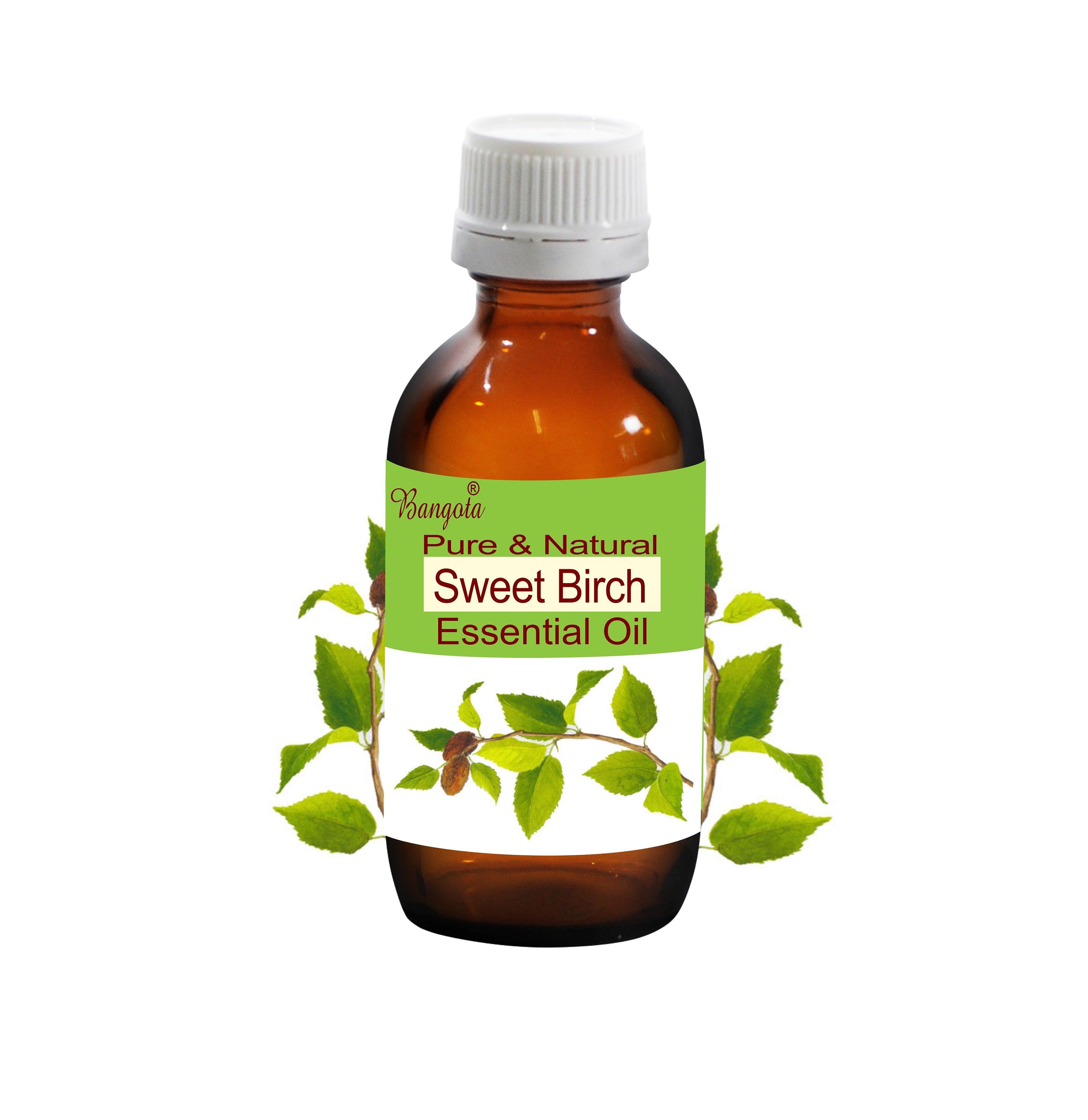 Sweet Birch Essential Oil Pure Natural Betula Lenta Aromatherapy Massage Spa