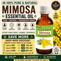 Mimosa Essential Oil Pure Natural Calming Floral Aromatherapy Perfume Diffuser Skin Care Oil