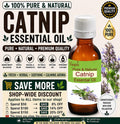 Catnip Essential Oil Pure Natural Aromatherapy Diffuser Massage Skincare DIY Herbal Fragrance Oil
