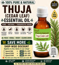 Thuja Essential Oil Cedar Leaf Pure Natural Aromatherapy Massage Perfume Diffuser Herbal Oil
