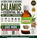 Calamus Essential Oil Pure Natural Acorus Calamus Aromatherapy Wellness Skin Care