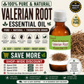 Valerian Root Essential Oil Pure Natural Aromatherapy Massage Diffuser Relaxation Wellness