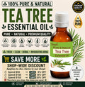 Tea Tree Essential Oil Pure Natural Melaleuca Alternifolia Aromatherapy Diffuser Massage