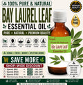 Bay Laurel Leaf Essential Oil Pure Natural Laurus Nobilis Hair Care Aromatherapy