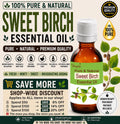 Sweet Birch Essential Oil Pure Natural Betula Lenta Aromatherapy Massage Spa