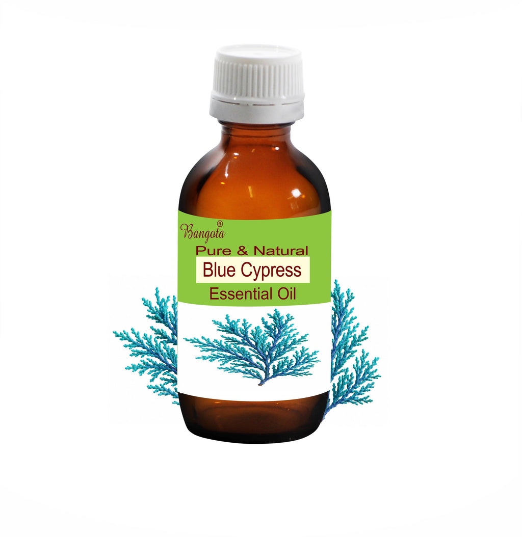 Blue Cypress Essential Oil Pure Natural Callitris Intratropica Aromatherapy Skincare Diffuser Massage