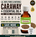 Caraway Essential Oil Pure Natural Steam Distilled Spicy Aromatherapy Diffuser Massage