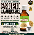 Carrot Seed Essential Oil Pure Natural Steam Distilled Aromatherapy Skincare Massage Wellness