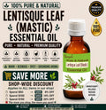 Lentisque Leaf Essential Oil Mastic Oil Natural Aromatherapy Skin Care Stress Relief Pure