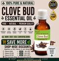 Clove Bud Essential Oil Pure Natural Syzygium aromaticum Aromatherapy Diffuser Perfumery